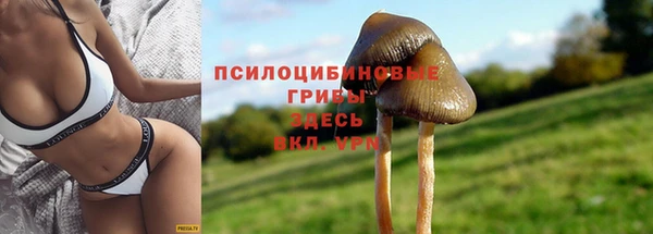 spice Ростов