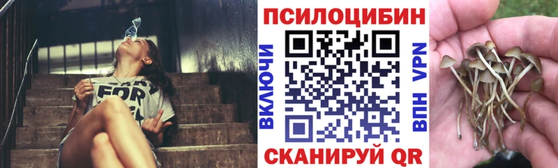 Галлюциногенные грибы Cubensis  МЕГА зеркало  Чухлома 